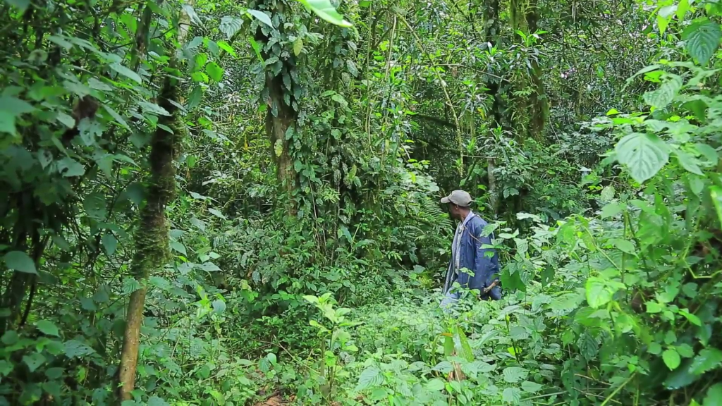 biosphere reserve in Ethiopia, Agroecology, Ethiopian NGO